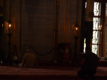 P1040427.JPG 3456x2592 index 183